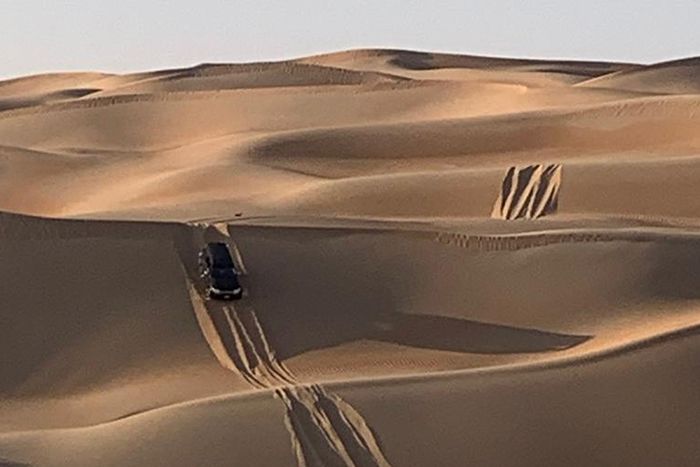 Desert landscape at golden hour